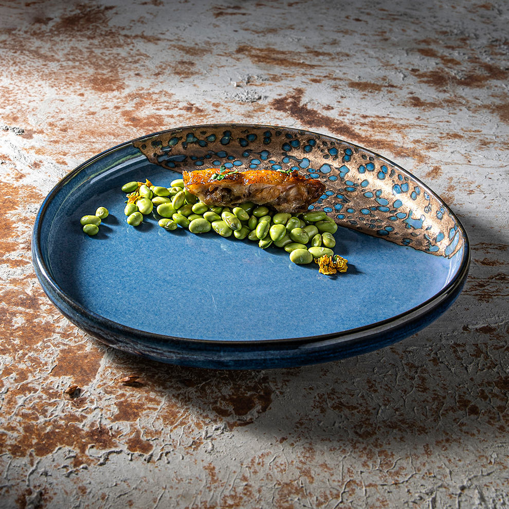 Blue Prato Porcelain Dinner Plate – Japanese Style